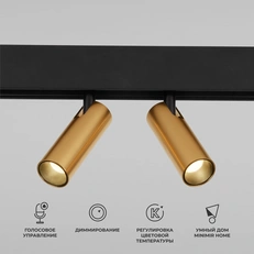 Изображение Умный трековый поворотный светильник Slim Magnetic Dual 14W 2700-6500K Dim латунь 85056/01